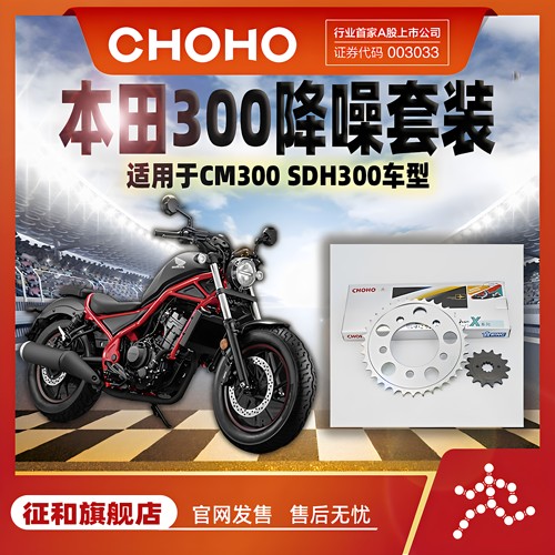 征和油封链条CLCM300牙盘套链