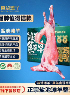 宁夏盐池滩新鲜羊羔肉羊