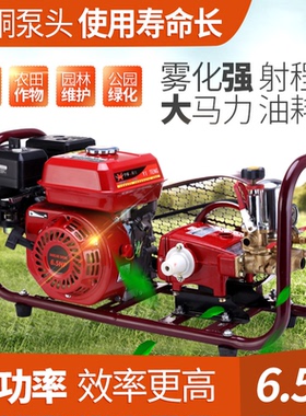 22 26 28 40.60型三缸柱塞泵担架高压汽油打药机组 168 170四冲程