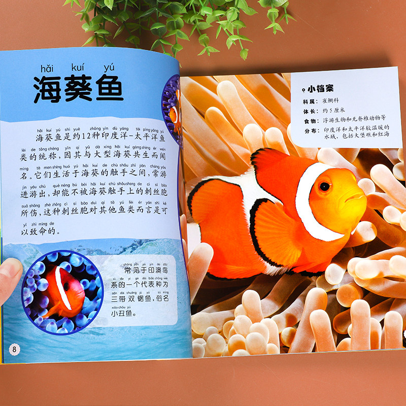 小学生一年级阅读课外书读儿童海洋生物动物世界大百科中国少年少儿百科全书带注音科学启蒙认知幼儿绘本海底世界小学生故事书籍必