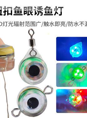 路亚海钓鱼眼款电子诱鱼灯LED水下集鱼器饵灯入水亮出水断电铁板