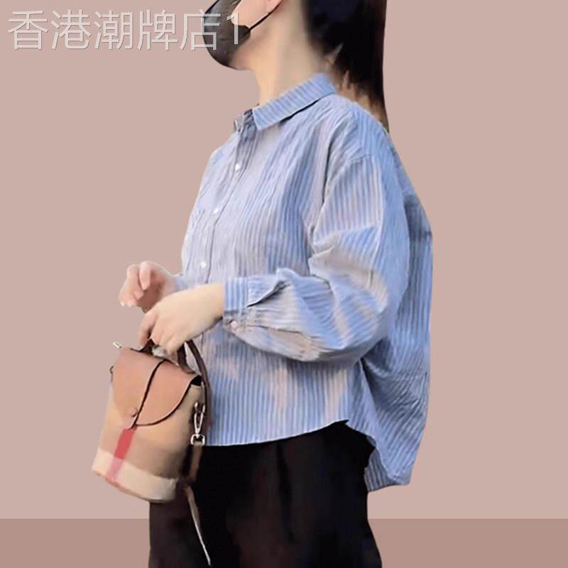 春秋新款条纹衬衫女士欧货蓝色衬衣小个子短款洋气宽松长袖polo衫