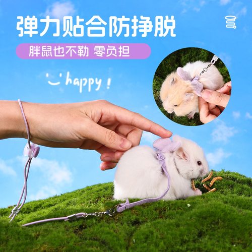 仓鼠牵引绳外出遛金丝熊