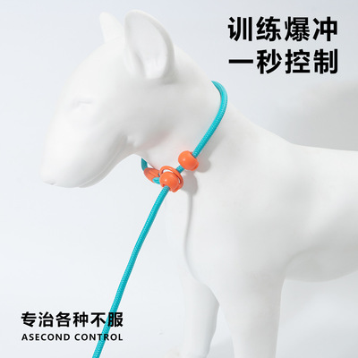 赛级p绳狗狗牵引绳中大型