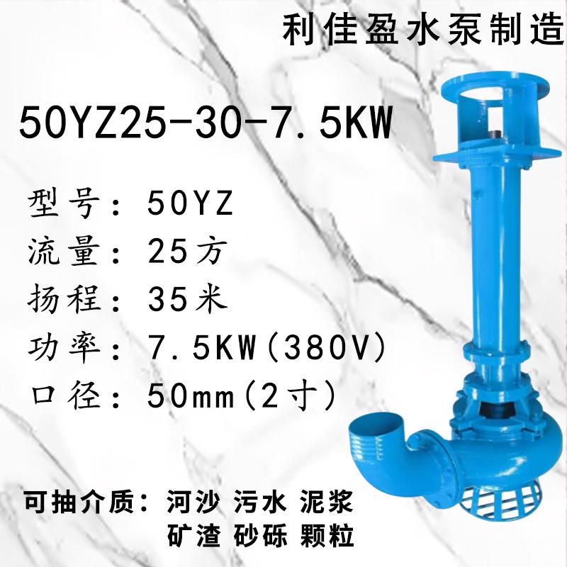 立式泥浆泵矿用耐磨渣浆泵河道池塘清淤杂质排污泵尾矿液下抽沙泵