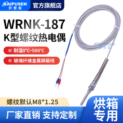 开普森WRNK-187探针式K型