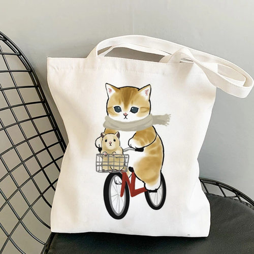 外贸cat猫咪骑自行车呆萌