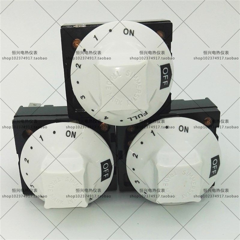 旋钮式智能温控器/注塑机专用白头调温开关/TYJ6202恒温嘴咀喷嘴