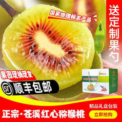四川苍溪红心猕猴桃产地果园直发奇异果当季新鲜孕妇水果顺丰包邮