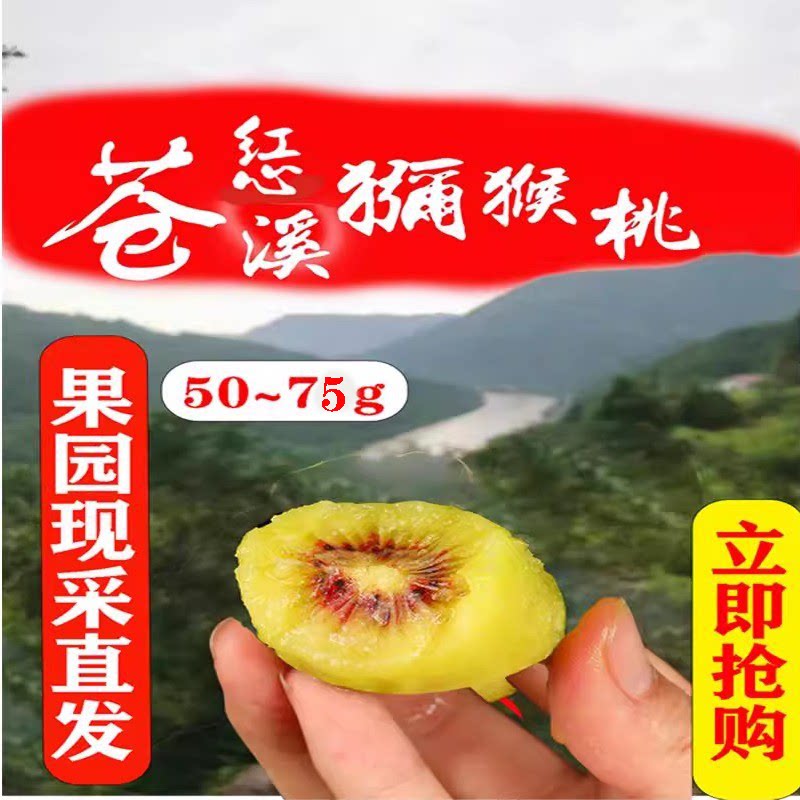 奇异果四川苍溪红心猕猴桃果园直采苍溪红心果整箱中小果50~75g