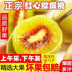 四川苍溪红心猕猴桃产地果园直发奇异果当季新鲜孕妇水果整箱包邮