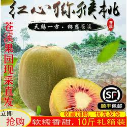 苍溪红心猕猴桃四川原产地果园发货新鲜孕妇水果10斤礼盒顺丰包邮