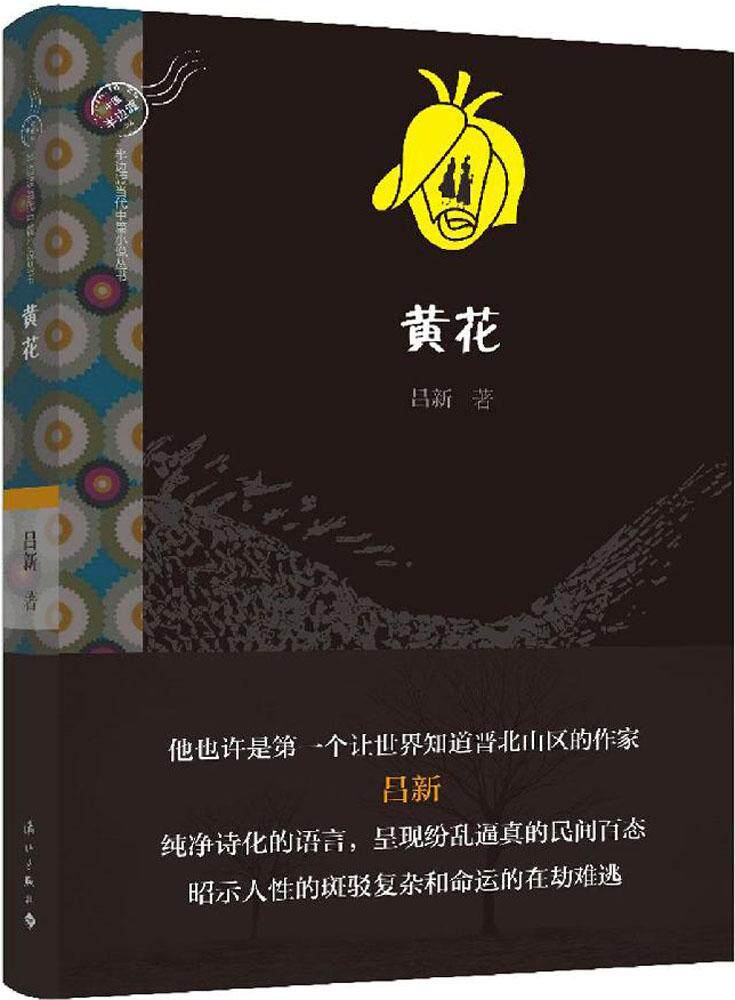 吕新 著 漓江出版社 青春/都市/言情小说 中篇小说 现代当代文学 故事