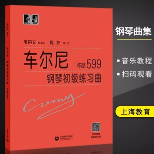 韦丹文 车尔尼钢琴初级练习曲作品599大字版 拜厄大音符教学版 书 钢琴基础教程钢琴曲谱子基础教材儿童钢琴书籍