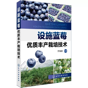 【书】设施蓝莓优质丰产栽培技术 蓝莓树莓栽培技术 蓝莓树种植技术指导 果树施肥用药指南入门图书籍