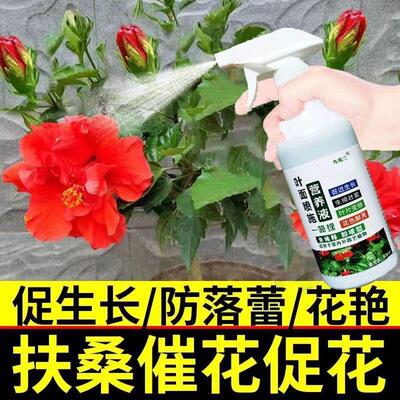 植物营养液通用型扶桑花营养液防黄叶掉花苞重瓣盆栽朱瑾花木槿花