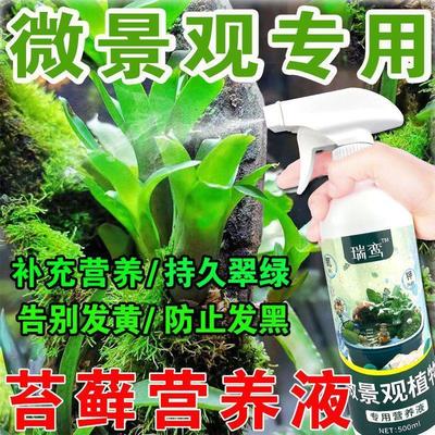 盆栽肥料植物通用型苔藓微景观专用迷你植物蕨类植物植物营养液