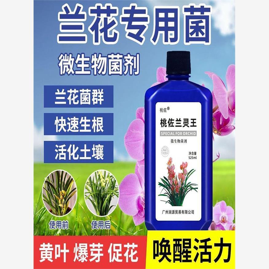 兰灵王兰花专用肥兰花多箭素爆芽素专用营养液君子兰EM菌促兰陵王