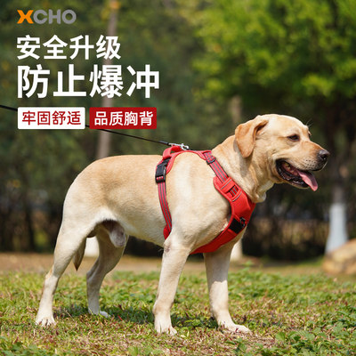 xcho大中小型犬用品舒适狗胸背带