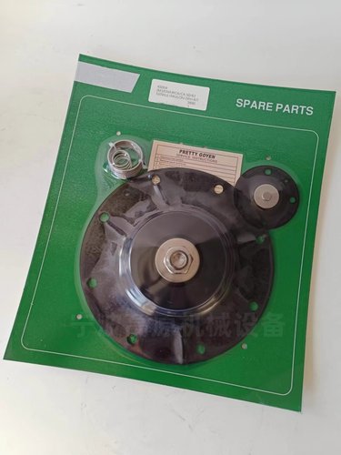 Pretty Goyen K5004 M1638A CA50T RCA62T CA62T脉冲阀膜片维修包