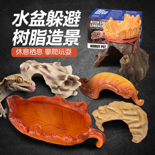 宠饲养箱仿自然生态豹纹睫角守宫