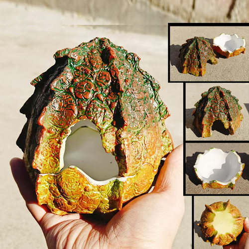 海胆化石工艺品摆件家居爬宠躲避