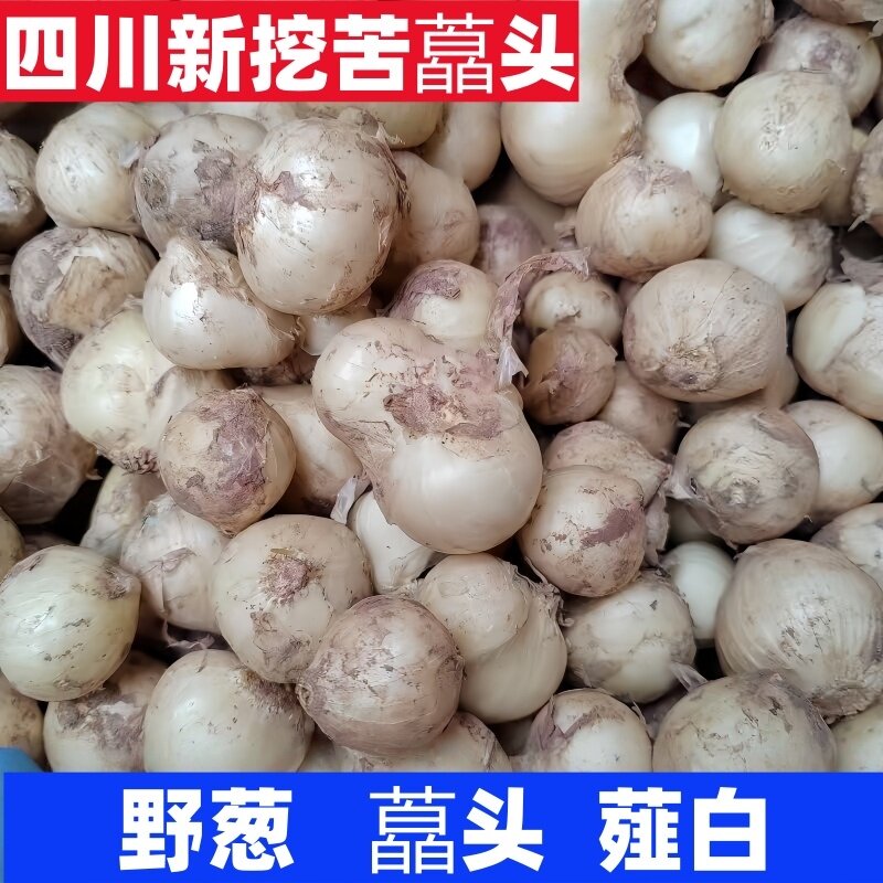 苦藠新鲜苦蒜小蒜苦茭团葱野葱头小根蒜圆蒜团蒜九母子薤白