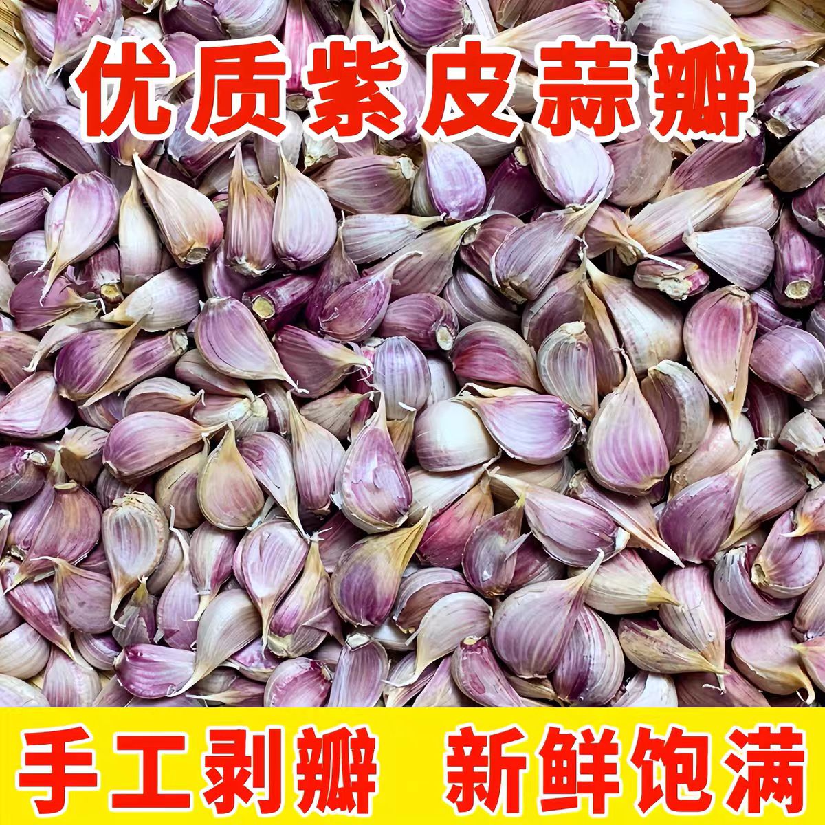 正宗山东产地发货正月早熟紫皮大蒜种新鲜红皮香蒜出蒜苔红根蒜苗
