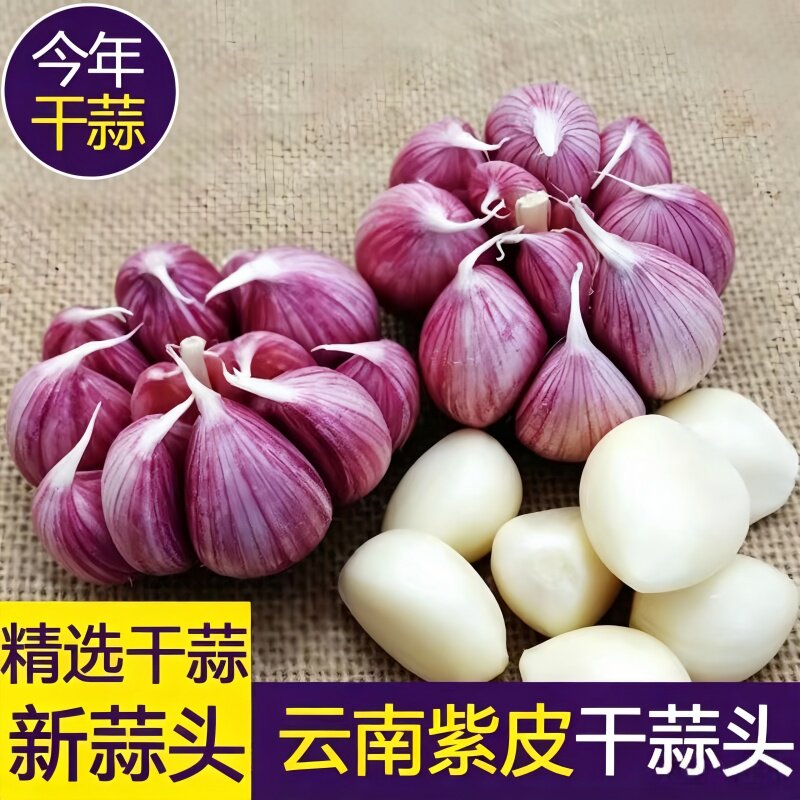 滇鲜生云南本地紫皮大蒜农家小个头半干大蒜多瓣紫皮大蒜调味蔬菜