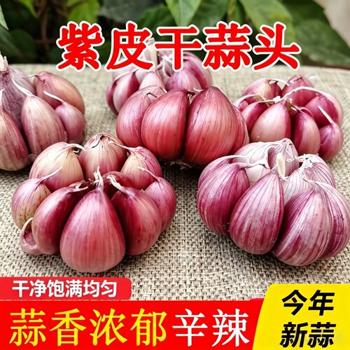正宗云南2026新鲜大理紫皮大蒜农家大蒜头新干蒜5斤红蒜多瓣香蒜