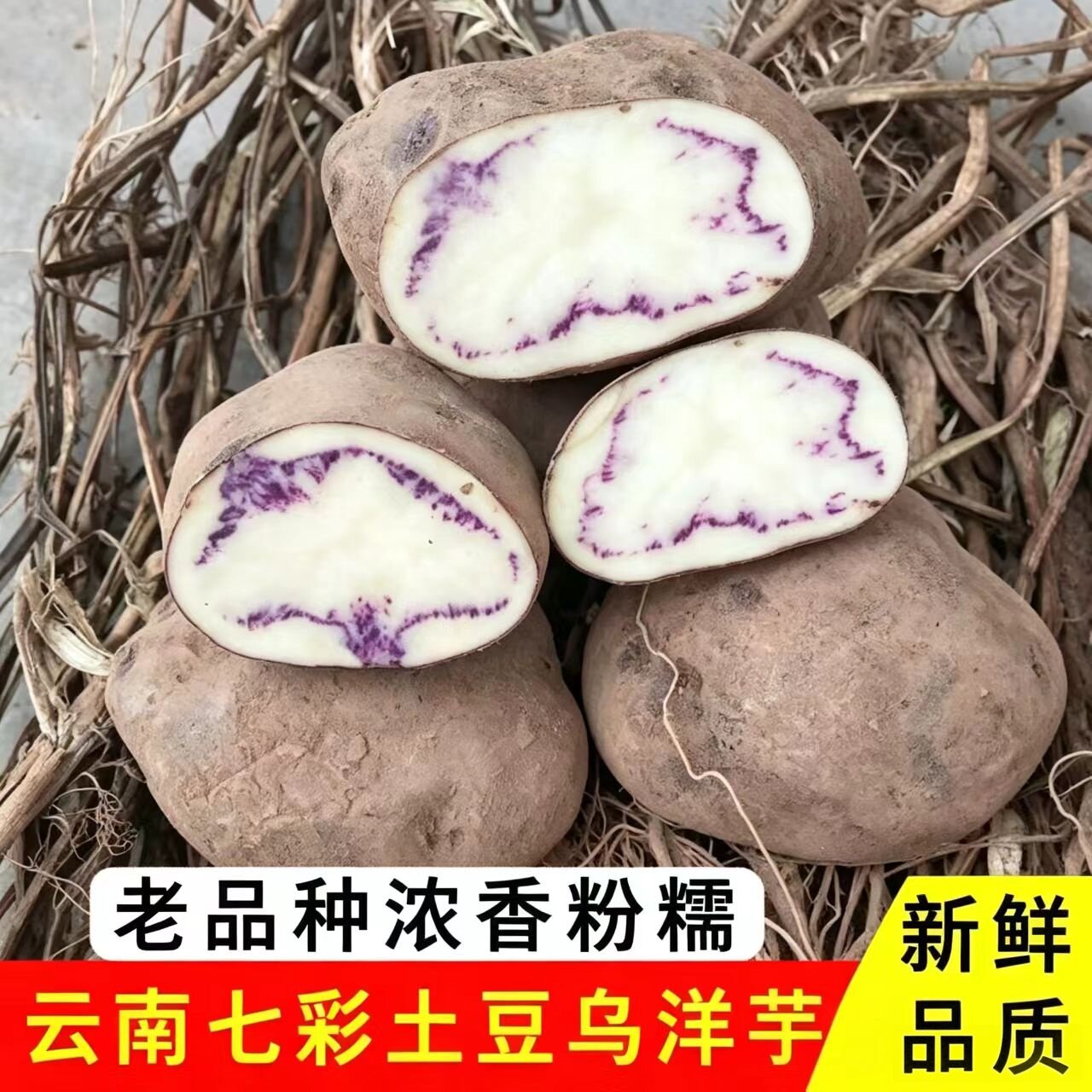 云南2026年乌洋芋马铃薯大山包七彩撰心乌紫皮土豆又粉又糯现挖