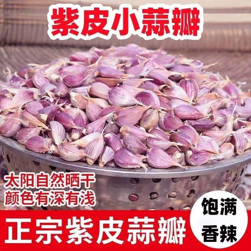 正宗山东早熟红皮大蒜紫皮香蒜蒜苗出蒜薹蒜苗种子二水早可吃可种