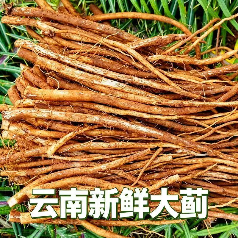野生云南大蓟根马刺根恶鸡婆刺萝卜新鲜现挖包邮炖鸡排骨猪蹄清热