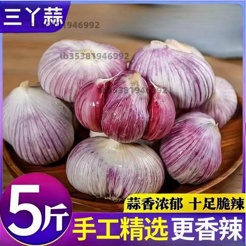 云南紫皮三丫蒜2026新晒干蒜炒菜调味大蒜头蔬菜批发中小干蒜箱