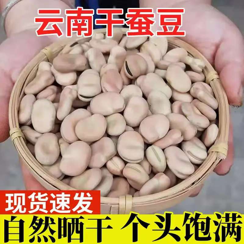 干蚕豆新货生胡豆云南特产农家白皮五谷杂粮蚕豆种子新鲜大粒可种