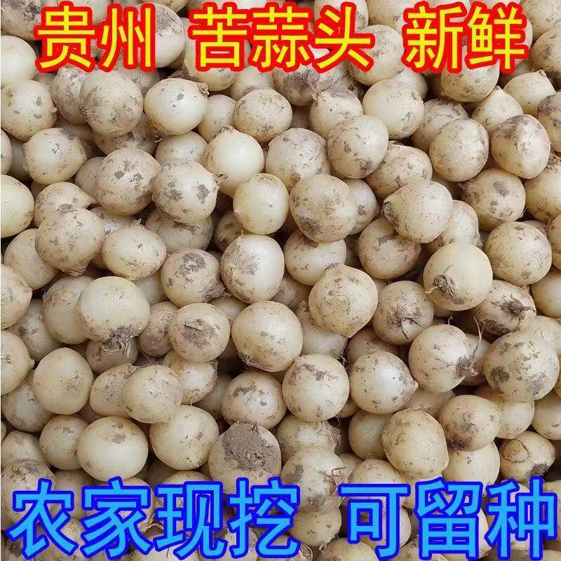 品质苦藠团葱新鲜蔬菜四川苦藠头苦藠种野葱头小蒜头薤白野生