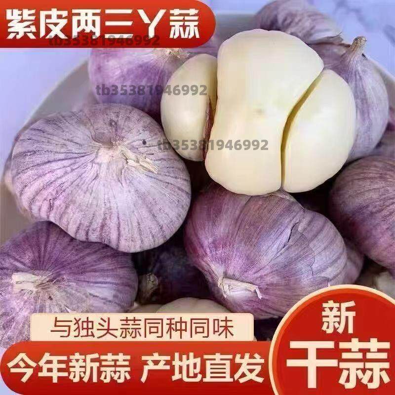 三丫蒜干蒜头2026年三瓣蒜紫皮大蒜头新鲜特价瓣蒜5斤装干蒜头
