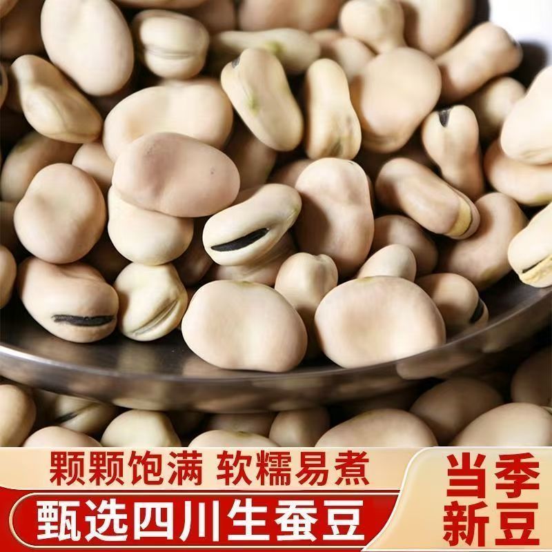 四川当季新蚕豆干货白皮蚕豆农家自种大颗粒可发芽胡豆罗汉豆馋豆