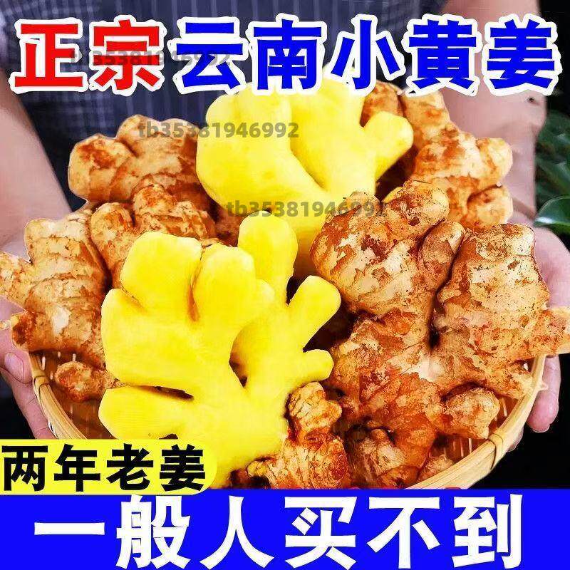 云南小黄姜一级生姜老姜批发十斤包邮原产地直销新鲜农家土姜块