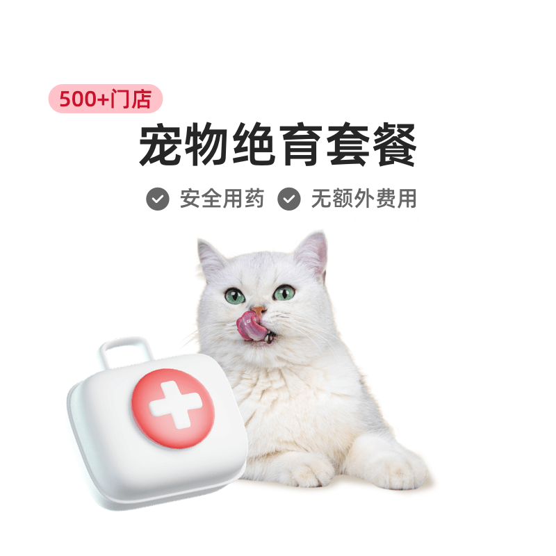 云宠宝母猫绝育套餐猫咪结扎手术