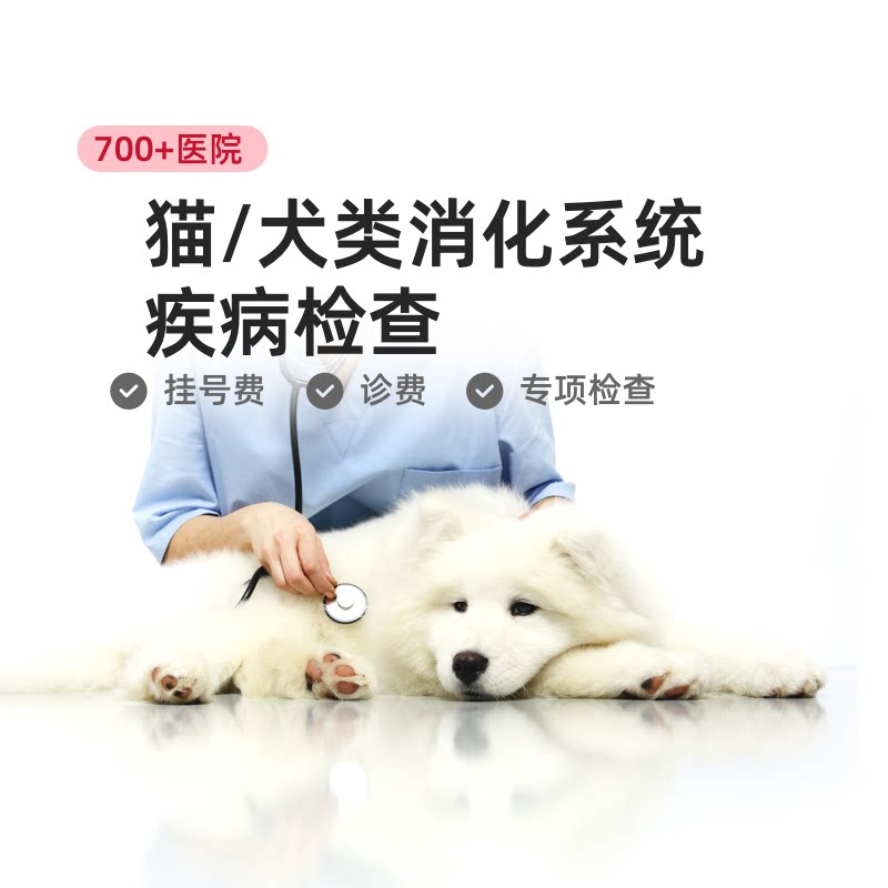 【云宠宝】宠物犬猫专项疾病皮肤传染病泌尿消化检查套餐到店服务