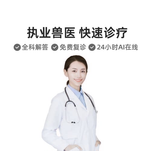 狗狗宠物医生在线咨询猫咪