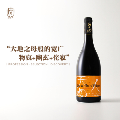 法国勃艮第天地人夜丘村黑皮诺