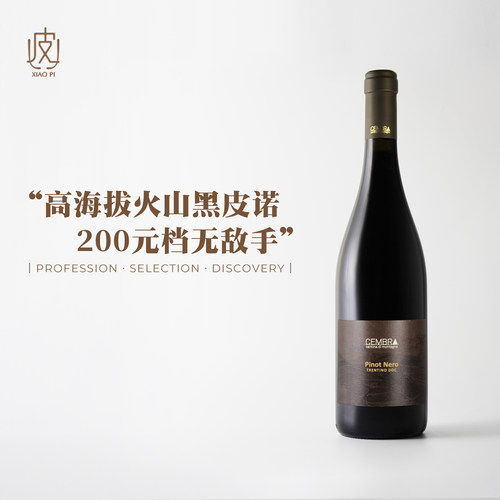意大利琴园黑皮诺干红葡萄酒