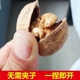 5斤原味干果 包邮 新疆特产阿克苏纸皮核桃薄皮无漂白散装