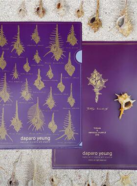 daparo达普罗骨螺插画文创学生办公手账手绘a4文件夹文具节日礼物