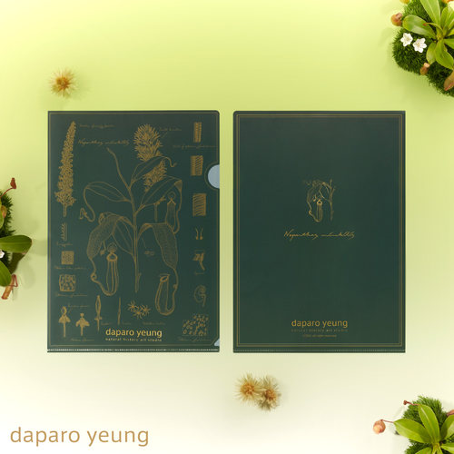 自然博物，原创设计，小众好物