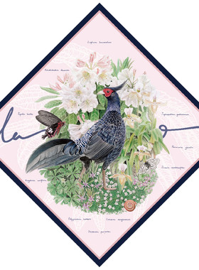 daparo yeung达普罗林间原创自然清新女真丝斜纹方巾丝巾披肩礼物