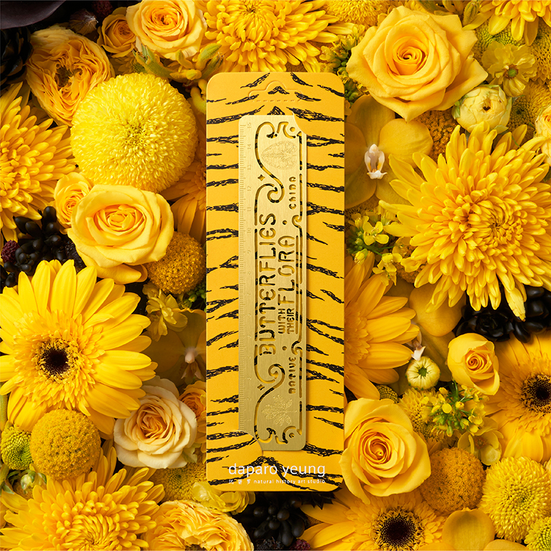 daparo yeung达普罗虎凤蝶穆夏风蝴蝶尺子金属镂空文具生日礼物女