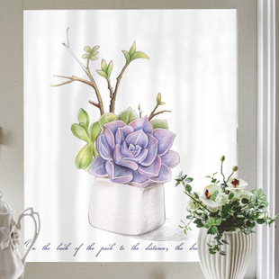 D7307多肉植物带胶玻璃贴膜窗户纸移门卫生间浴室可移除PVC磨砂